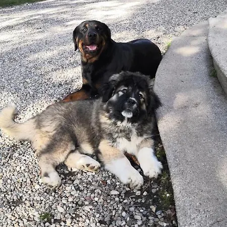 Bed & Breakfast Invilla *