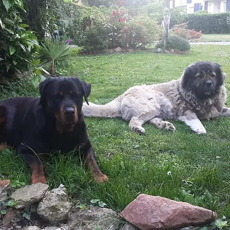 Bed & Breakfast Invilla *