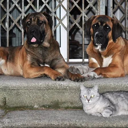 Invilla Bed & Breakfast Varese