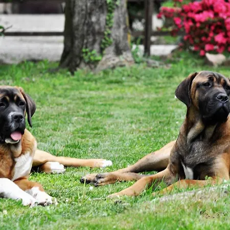 Bed & Breakfast Invilla *