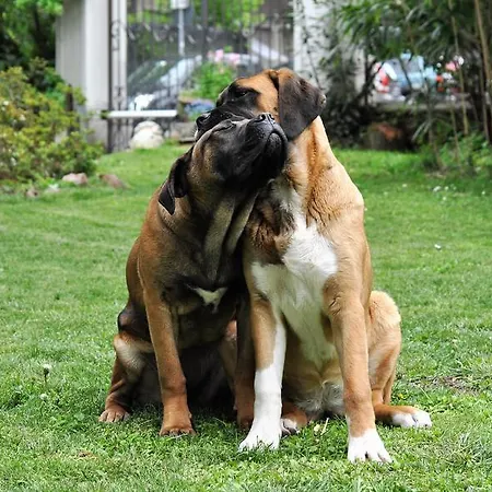 Invilla Bed & Breakfast Varese