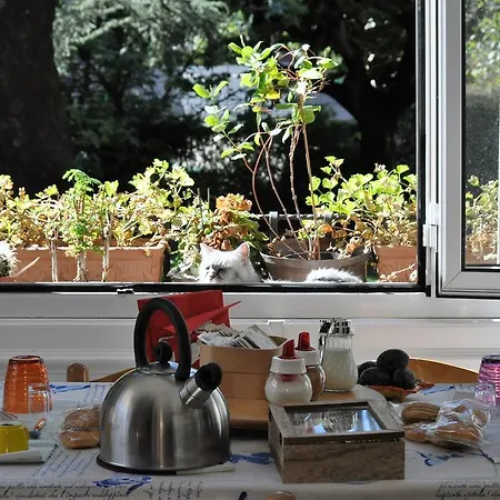 Bed & Breakfast Invilla